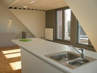 architect herman boonen - hedendaagse duplex-woning